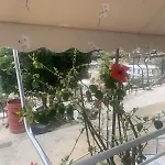 View Apartman
